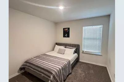 509 Calm Springs Drive, Princeton, TX 75407 - Photo 19