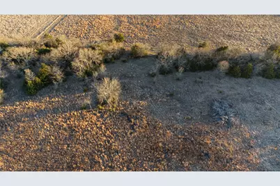 Tbd 15 Acres County Road 1033, Celeste, TX 75423 - Photo 7