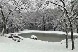 1619 Bloomfield Rd, Valley View, TX 76272 - Photo 23