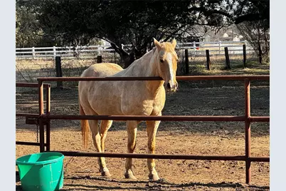 4314 Old Granbury Road, Granbury, TX 76049 - Photo 31