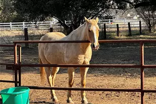 4314 Old Granbury Rd, Granbury, TX 76049 - Photo 31
