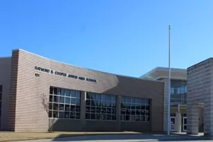 405 Love Bird Ln, Murphy, TX 75094 - Photo 39