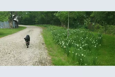 130 Vz County Road 1815, Grand Saline, TX 75140 - Photo 23