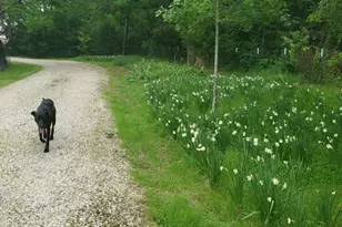 130 Vz County Road 1815, Grand Saline, TX 75140 - Photo 23