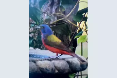 130 Vz County Road 1815, Grand Saline, TX 75140 - Photo 39