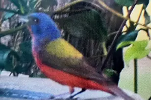 130 Vz County Road 1815, Grand Saline, TX 75140 - Photo 39