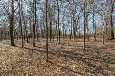 130 Vz County Road 1815, Grand Saline, TX 75140 - Photo 27