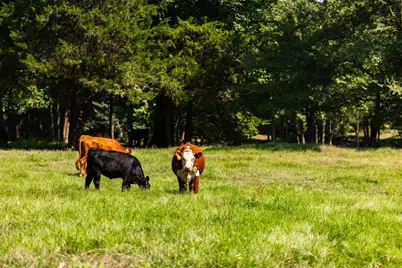 5624 E Fm 323, Palestine, TX 75801 - Photo 37