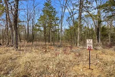 Lot 30 White Tail Way, Pottsboro, TX 75076 - Photo 3