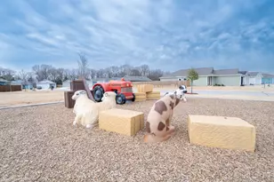 6638 Loy Dr, Princeton, TX 75407 - Photo 33