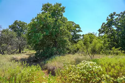 131.7 Acres Roney Road, Jacksboro, TX 76458 - Photo 39