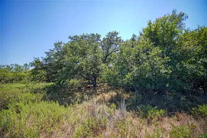 131.7 Acres Roney Road, Jacksboro, TX 76458 - Photo 21