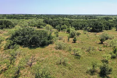 131.7 Acres Roney Road, Jacksboro, TX 76458 - Photo 11