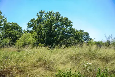 131.7 Acres Roney Road, Jacksboro, TX 76458 - Photo 23