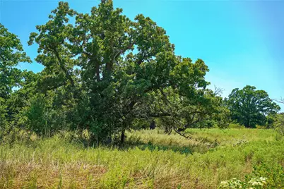 131.7 Acres Roney Road, Jacksboro, TX 76458 - Photo 37