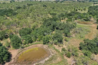 131.7 Acres Roney Road, Jacksboro, TX 76458 - Photo 13