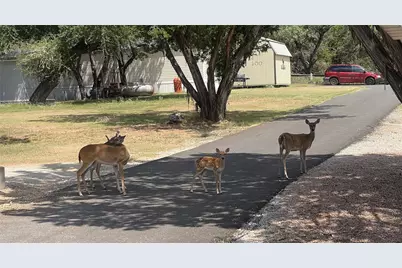 2334 Sanbar Road #104, Possum Kingdom Lake, TX 76449 - Photo 23