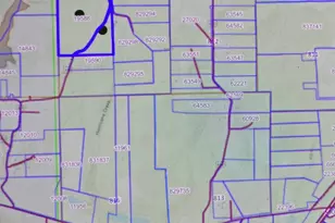 00000 County Road 442, Palestine, TX 75803 - Photo 1