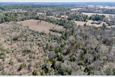 00000 County Road 442, Palestine, TX 75803 - Photo 5