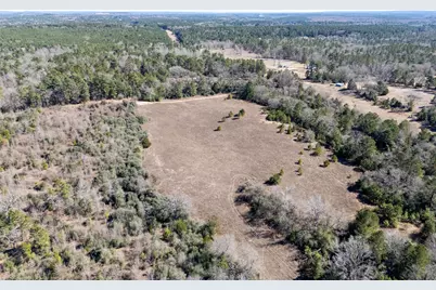 00000 County Road 442, Palestine, TX 75803 - Photo 3