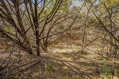 1113 County Road 407A, Nemo, TX 76070 - Photo 9