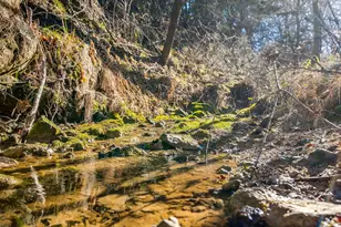 1113 Co Rd 407A, Nemo, TX 76070 - Photo 17