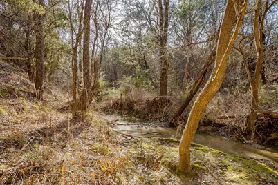 1113 County Road 407A, Nemo, TX 76070 - Photo 21