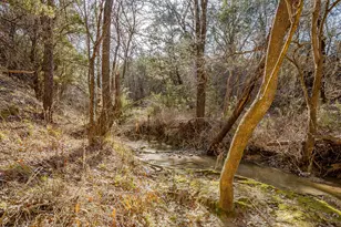 1113 Co Rd 407A, Nemo, TX 76070 - Photo 21