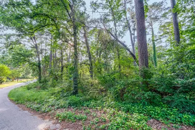 7631 Forest Hill Drive, Frankston, TX 75763 - Photo 5