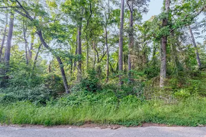 7631 Forest Hill Drive, Frankston, TX 75763 - Photo 3