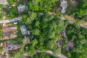 00 Forest Hill Dr, Frankston, TX 75763 - Photo 5