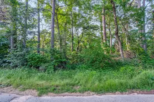 00 Forest Hill Dr, Frankston, TX 75763 - Photo 11