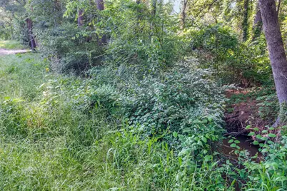 00 Forest Hill Drive, Frankston, TX 75763 - Photo 9