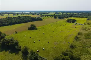 368 County Rd 3625, Clifton, TX 76634 - Photo 11