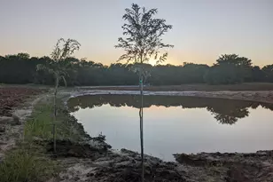 268 Private Rd 3427, Bridgeport, TX 76426 - Photo 1