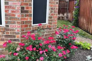 4656 Spencer Dr, Plano, TX 75024 - Photo 33