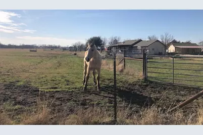 9061 Crow Wright Road, Sanger, TX 76266 - Photo 7