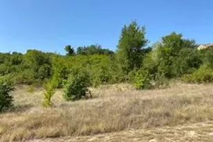 Lot 168 Canyon Wren N, Graford, TX 76449 - Photo 1