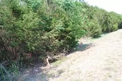 5017 Horseshoe Drive, Whitney, TX 76692 - Photo 1