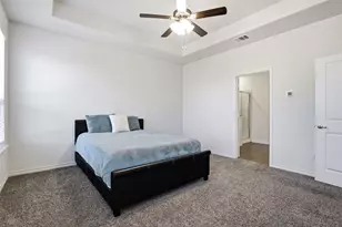 10313 Fountain Gate St, Aubrey, TX 76227 - Photo 9