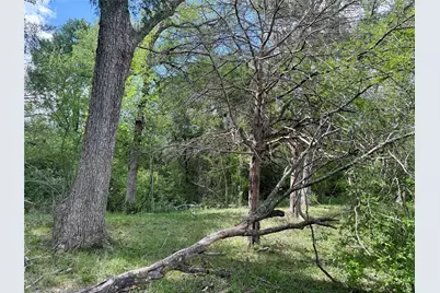 12335 County Road 4230, Purdon, TX 76679 - Photo 35