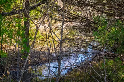 Tbd Fm Rd 2965, Wills Point, TX 75169 - Photo 21