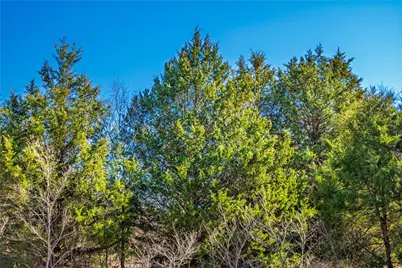 Tbd Fm Rd 2965, Wills Point, TX 75169 - Photo 25