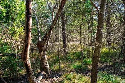 Tbd Fm Rd 2965, Wills Point, TX 75169 - Photo 17