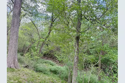 12335A County Road 4230, Purdon, TX 76679 - Photo 35