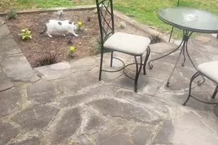 4415 Smallwood Rd, Reno, TX 75462 - Photo 35