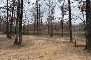 4415 Smallwood Rd, Reno, TX 75462 - Photo 31