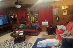 151 Martin Dr, Shepherd, TX 77371 - Photo 5