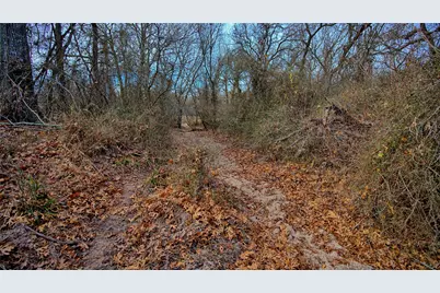 Tbd Fm 3206, Saint Jo, TX 76265 - Photo 5