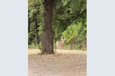 Tbd Fm 3206, Saint Jo, TX 76265 - Photo 17
